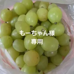 もーちゃん様専用