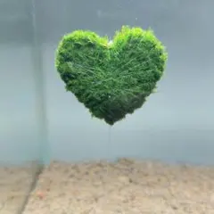 なつゆき様 リクエスト 2点 まとめ商品