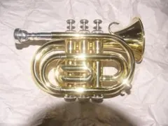 Item thumbnail for item f1501f46-8680-4fee-97af-fecbbd4e6267