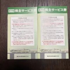 JR東日本株主サービス券 2冊 2026年6月30日まで