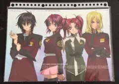機動戦士ガンダムSEED DESTINY フォトコレクション セル画