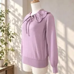 ◎美品◆スローブイエナ◆ DIVE襟付きプルオーバー