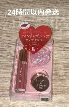 【伊右衛門】亀甲竜二株セット　ベアルート　発芽済み　鉢ごと 2025年最新】ベラRAWの人気アイテム - メルカリ 【伊右衛門様専用