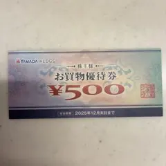 ヤマダ電機　お買い物優待券　500円　1枚