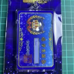 アイカツスターズ！ PIICA パスケース 四ツ星学園 学生証
