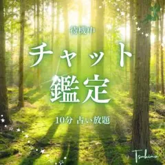 今すぐ✨️ パッと聞けるチャット占い 10分 占い放題