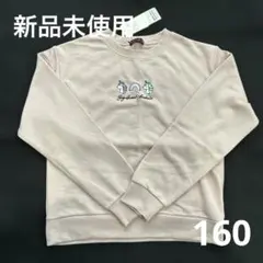 Item thumbnail for item 4f9cdcb7-2e5b-4839-b516-61546ad6e819