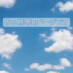『みぃ様専用ページ』です