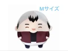ハイキューふわコロりん Mサイズ スペシャル 北信介