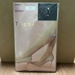 GUNZE Tuche ストッキング エトワールモチーフ L-LL ブラック