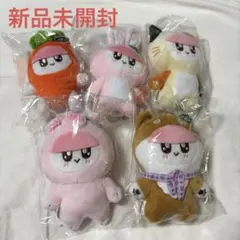 SEVENTEEN BONGBONGEE ＆youミニぬいぐるみ ボンボンイ - メルカリ