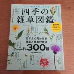 jan_kasuteira7様 リクエスト 2点 まとめ商品