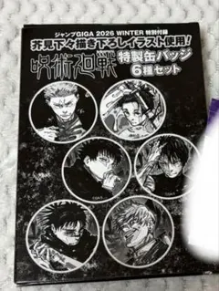 呪術廻戦 特製缶バッジ 6種セット ジャンプGIGA - メルカリ