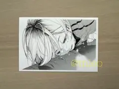 2025年最新】思い出スナップフォトカード 研磨の人気アイテム
