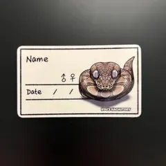 Item thumbnail for item 56e9c8c6-ff62-4c9e-9bf3-937570ef2cdd