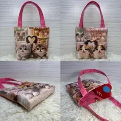 Item thumbnail for item e4f3165e-3444-4494-b677-cca0ee763b30