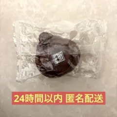 仮面ライダーマイス GPライダーエグズ01 ヴァレンシードエグズ②