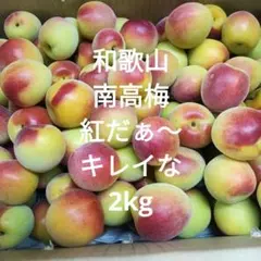 和歌山県産 完熟南高梅‼️L〜M混合‼️3kg みかんキング 家庭用 - メルカリ