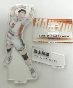 ハイキュー クロニクル 影山飛雄 アクリルスタンド アクリルフィギュア