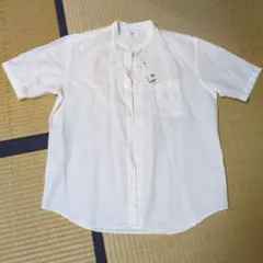 UNIQLO ユニクロ コットンスタンドカラーシャツ M ホワイト