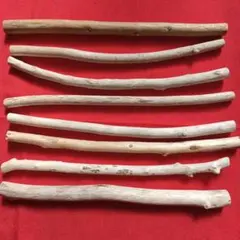 Item thumbnail for item b7f57598-2cd3-4435-8e15-92d4715ed37e