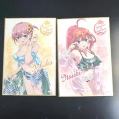 五等分の花嫁 一花 五月 イラストカード まとめ売り