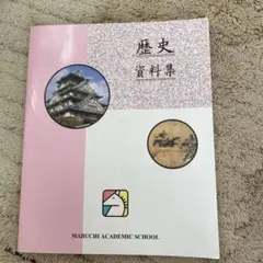 ＊南河内町史 通史編全3巻(4冊)+史料編 豪華5冊フルセット 栃木県 郷土史 栃木県】南河内町史 史料編 5 (絵図)(南河内町史編さん委員会 編
