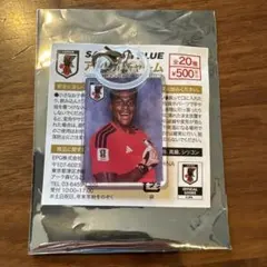 サッカー日本代表 めじるしチャーム 鈴木彩艶