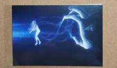 2025年最新】manaka ポストカードの人気アイテム - メルカリ