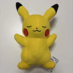 ポケットモンスター くつろぎタイムぬいぐるみ 〜ピカチュウ・コイル・キバゴ〜
