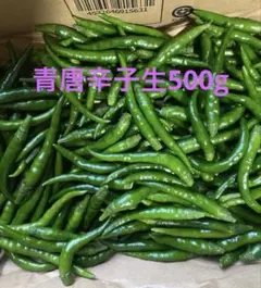 長野県産 大地自然成熟 激辛 辣妹子 青唐辛子 1kg - メルカリ