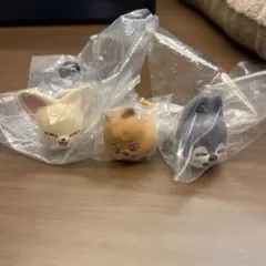 skzoo ぷくっとリング　stray kids 3点セット　ケース付き