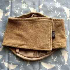 Item thumbnail for item 970e1672-58d2-42fc-bd35-a1d0a50ecd56