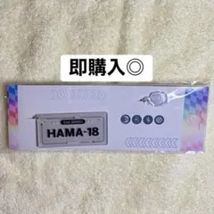 【即購入◎】 18TRIP エイトリ ナンバープレート風キーホルダー 甲羅爆走団