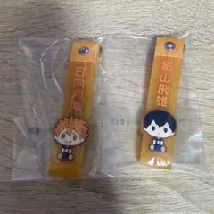 一番くじ ハイキュー!! ～10th anniversary！～H賞 日向　影山