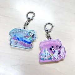 東京ディズニーリゾート アクリルキーホルダー 2種セット