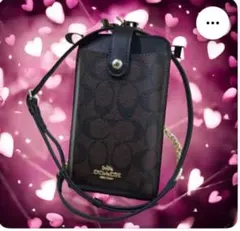COACH ダークブラウン ショルダーバッグ