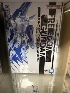 METAL BUILD フリーダムガンダムコンセプト2スノースパークルVer.