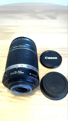 Canon EF-S 55-250mm F4-5.6 ISのサムネイル