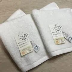 Item thumbnail for item 0b94bc2d-1bc3-43e7-95ae-07229f278bba