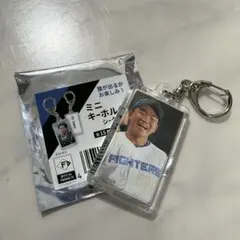 北海道日本ハムファイターズミニキーホルダーシークレット山縣秀