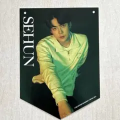 2026年最新】exo セフン トレカの人気アイテム - メルカリ