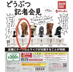 どうぶつ記者会見 柴犬 ガチャ　カプセルトイ