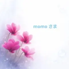 momo様 リクエスト 2点 まとめ商品