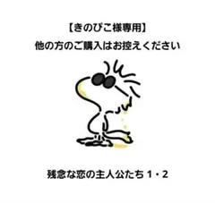 【きのぴこ様専用】残念な恋の主人公たち 1・2