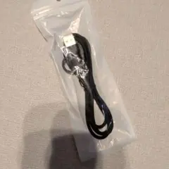 ガーミン 充電器 【7/20まで】のサムネイル
