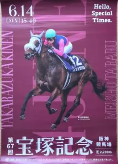 競馬 JRA 宝塚記念 メイショウタバル ポスター B1 - メルカリ
