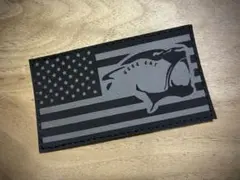 US FLAG / USSS CAT PATCH