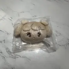 mikko マスコットミラー　ナッツ　ガチャガチャ