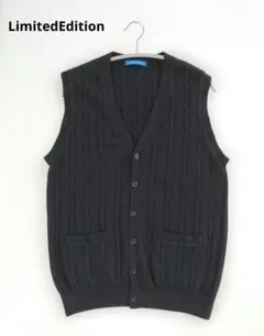 リミテッドエディション ★ ケーブルニット カシミヤ100 % ベスト 洗濯可